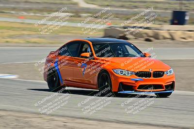 media/May-24-2025-Turn8 Trackdays (Sat) [[034586b55d]]/3 Inter 3/Session 2 (Cotton Corners-Grapevine)/